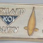 2010 Volunteer pin Gold Domed