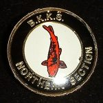 Northern Section trophy pin