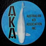 Australian Koi Association trophy pin Hikari Mujimono