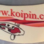 Unofficial Koipin.com pin