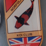 Norfolk Koi Club pin