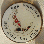 San Francisco Bay Area Koi club - old pin.