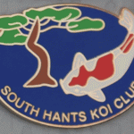 South Hants Section third club pin