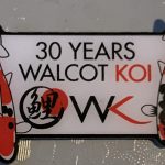 30 Years Walcot Koi