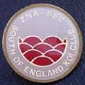 ZNA South of England trophy pin