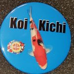 San Diego button Koi Kichi