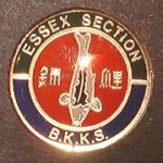 Essex trophy pin green border on top, blue border on bottom