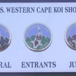 Western Cape 2006 Show - 3 pin sets (limited editon of 15 sets).