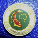 Australian Koi Association trophy pin