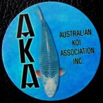 Australian Koi Association trophy pin Asagi