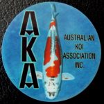 Australian Koi Association trophy pin Doitsu kujaku