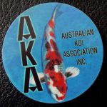 Australian Koi Association trophy pin Hikari Utsurimono