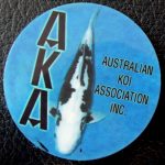 Australian Koi Association trophy pin Kumonryu