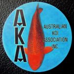 Australian Koi Association trophy pin Kawarimono