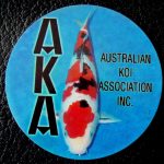 Australian Koi Association trophy pin Sanke