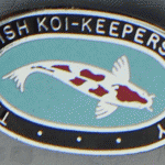 Original BKKS Society pin, Elliptical Horizontal Kohaku