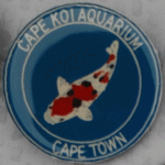 Cape Koi Aquarium Blue pin with Sanke without 2003