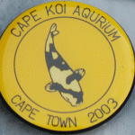 Cape Koi Aquarium Yellow pin with Shiro and 2003