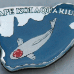 Cape Koi Aquarium Tancho pin