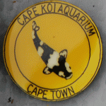 Cape Koi Aquarium Yellow pin with Shiro without 2003