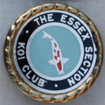 Essex trophy pin light blue background