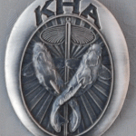 Koi Health Advisor Silver pin prototype