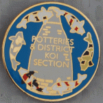 Potteries & District section pin