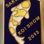 Gauteng Chapter Young Koi Show pin 2013. (Hariwake)