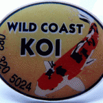 Wild Coast Koi pin.